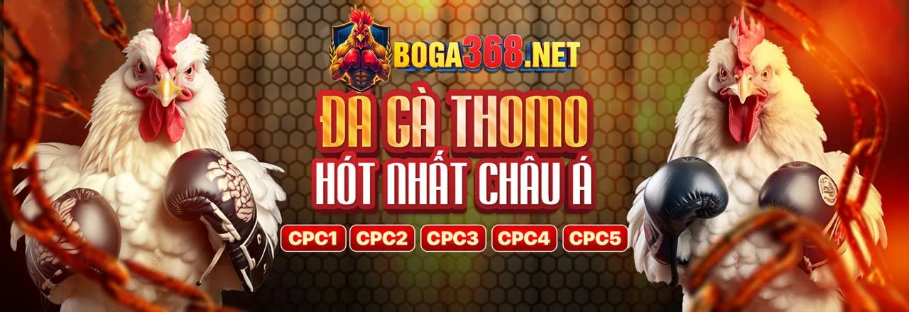An Toàn và Công Bằng tại Onebet88